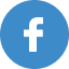 FB Icon